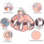 AIITLE Tiny Dog Harness - Lightweight Mesh Step-in Vest for Puppy, Reflective & Escape-Proof Design with High-Stick Magic Tape - Indoor/Outdoor Use for Chihuahua, Maltese, Shih Tzu(Pink, XXXS)