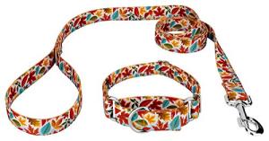 Country Brook Petz - Brisk Autumn Martingale Dog Collar and Leash Set - Awesome Autumn Collection Featuring Designs You Will Fall for (1 Inch, Medium)