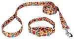 Country Brook Petz - Brisk Autumn Martingale Dog Collar and Leash Set - Awesome Autumn Collection Featuring Designs You Will Fall for (1 Inch, Medium)