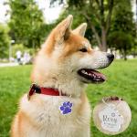 Personalized Glitter Pet ID Tags with Paw Print