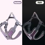 Patas Lague Dog Harness with Leash Set for Small Medium Dogs, No Pull No Choke Reflective Step in X Head Pet Harness Vest with Poop Bags and Dispenser, Adjustable and Padded, Purple Medium