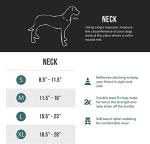 EzyDog Double Up Dog Collar – Double D-Rings for Superior Strength, Safety, and Comfort – Nylon Dog Collar with Reflective Trim and ID Attachment Point (Large, Pink Camo)