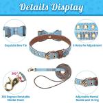 BINGPET Puppy Collar and Leash Set for Small Dogs, Plaid Bowtie Dog Collars Bandana with Bell for Boy Girl Dogs, Cute Adjustable Collar and Leash Set with Bow for Dog Cat Outdoor Walking, Blue S