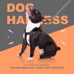 Didog Step in Dog Harness with Metal Buckles, Freedom Nylon Dog Halter Vests for Small Dogs Easy Walking Training(S:Chest 13-22", Black)