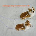 8.5ft Multifunctional Hands Free Nylon Rope Waist Dog Leash, Adjustable Shoulder Crossbody Walking Lead