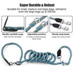 Hands Free 8.5ft Nylon Double Dog Leash with Reflective Stitching, Adjustable Waist Fits All for Medium Large Dogs - Blue