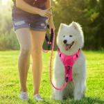 BARKBAY Heavy Duty No Pull Dog Harness - Pink