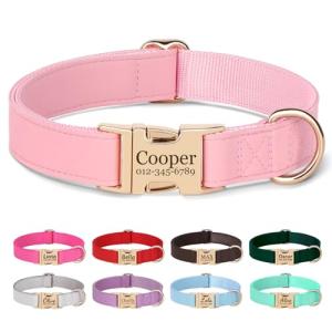 PET ARTIST Personalized Dog Collars, Custom Engraved Pink Dog Collar with Silent Name Tag, Gold Quick Released Buckle & Soft Nylon Padded, Elegant Colors & Matching Leash for Small Dogs,S Fit 9-14"