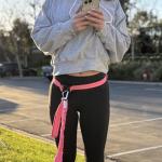 Shed Defender Hands Free Dog Leash Belt - Seen on Shark Tank - Attaches to Any Leash, Jogging & Running, Heavy Duty Buckle, Reflective Stitching, Adjustable one Size fits All, Designed in USA (Black)