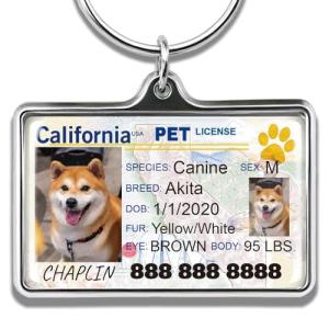 Custom Pet ID Tags - Personalized Dog and Cat Tags