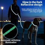 AIRUIDOG Hands Free Dog Leash, 4.25FT - 9FT Multifunctional Crossbody Waist Leash for Dogs Walking Reflective Running Dog Leashs for Medium and Large Dogs Walking,Jogging,Running,Training (Blue)