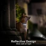 Personalized Reflective Dog Collars,Custom Engraved Stainless Steel Name Plate ID Collar Padded Pet Collar 4 Adjustable Sizes X-Small Small Medium Large (Black ID Tag)