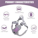 Patas Lague Dog Harness with Leash Set for Small Medium Dogs, No Pull No Choke Reflective Step in X Head Pet Harness Vest with Poop Bags and Dispenser, Adjustable and Padded, Purple Medium