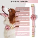 HQREA Summer Girl Dog Collar and Leash Set Soft Cotton Lace Handmade Embroidered Personalized Designer Heavy-Duty Dog Collars for Large Dogs,L