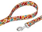Country Brook Petz - Brisk Autumn Martingale Dog Collar and Leash Set - Awesome Autumn Collection Featuring Designs You Will Fall for (1 Inch, Medium)