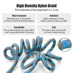 Hands Free 8.5ft Nylon Double Dog Leash with Reflective Stitching, Adjustable Waist Fits All for Medium Large Dogs - Blue