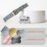 Personalized Stainless Steel Dog Name Tag - 5 Shapes