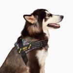 CHRYMPETIC Custom Dog Vest Patches - Personalized Name Patches for Dog Harness - Colorful Custom Patches for Dogs (Pink Star, Large (6.3 * 2 Inches))