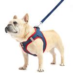 PUPTECK Dog Harness and Leash Set for Small Medium Dogs No Pull Step-in Soft Mesh Puppy Cat Vest Harnesses Reflective at Night, Denim NavyBlue S