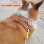 DOOMANLOAD Premium Adjustable Dog Collar,Smart ID Ring,Durable Rose Gold Buckle, Comfortable Twill,for Small Medium Large Dogs (Pink, Small)