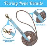 BINGPET Puppy Collar and Leash Set for Small Dogs, Plaid Bowtie Dog Collars Bandana with Bell for Boy Girl Dogs, Cute Adjustable Collar and Leash Set with Bow for Dog Cat Outdoor Walking, Blue S