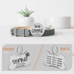 Personalized Stainless Steel Dog Name Tag - 5 Shapes