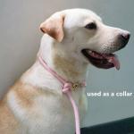 8.5ft Multifunctional Hands Free Nylon Rope Waist Dog Leash, Adjustable Shoulder Crossbody Walking Lead