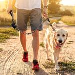 OEBEESA Tactical Dog Collar Adjustable Military Collar: - Nylon K9 Collars with Handle and Heavy Duty Metal Buckle for Medium and Large Dogs with 3 Patches and Airtag Case Holder (XL, Camo-Set)