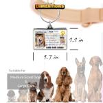 Custom Pet ID Tags - Personalized Dog and Cat Tags