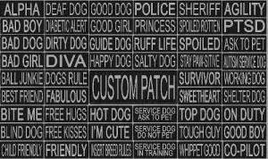 Dogline Custom Reflective Personalized Removable Patch Label Tag for Dog Harness and Collar Agility Dock Diving Sport Dog Made in USA 1.5"x4"