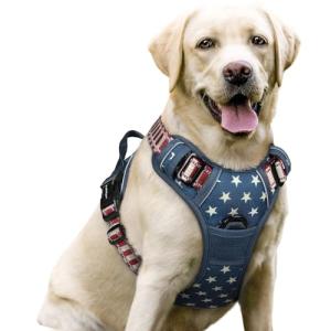 rabbitgoo Dog Harness No Pull with 2 Leash Clips, Adjustable Soft Padded, Reflective Oxford No Choke Pet Vest with Easy Control Handle for Large Dogs, Blue Star, L