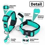 NESTROAD Reflective Dog Collar and Leash Set,Soft Neoprene Pet Collar with Quick Release Buckle,Adjustable Nylon Dog Collars for Small Medium Large Dogs(Small Collar + 5FT Leash,Teal)