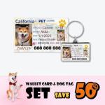 Custom Pet ID Tags - Personalized Dog and Cat Tags