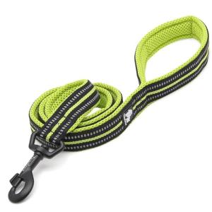 TRUE LOVE Reflective Dog Leash Puppy Walking Lead, Padded Pet Chain Rope，Length 200cm Truelove TLL2111(Neon Yellow,L)