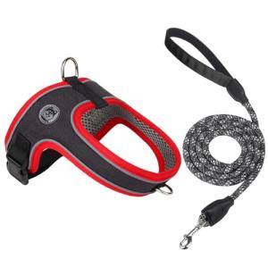 Dog Harness and Leash Set, No Pull Saddle Style Pet Harness, Breathable Mesh Adjustable Reflective Dog Vest for Dogs and Cat Medium Small Harness 2 D-Rings (Black, L)