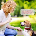 2 Pack Double-Sided ESA Dog ID Tags