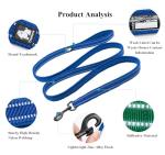 TRUE LOVE Reflective Dog Leash Puppy Walking Lead, Padded Pet Chain Rope，Length 200cm Truelove TLL2111(Neon Yellow,L)