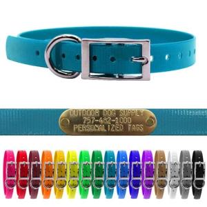 3/4" Waterproof D-Ring Dog Collar Adjustable Fit for Small & Medium Breeds | Custom 3/4" Brass Nameplate – Durable, Odor-Resistant, USA-Made (18", Teal)