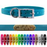 3/4" Waterproof D-Ring Dog Collar Adjustable Fit for Small & Medium Breeds | Custom 3/4" Brass Nameplate – Durable, Odor-Resistant, USA-Made (18", Teal)