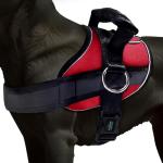 Joyride Harness Basic Essential Dog Harness 1.0 - Small, Medium, Large Dogs, No-Pull Pet Vest with 3 Side Rings for Leash Placement, Adjustable for Training (Red Rush, XS)