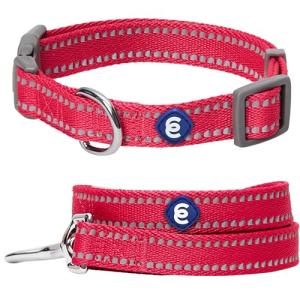 Blueberry Pet Essentials Reflective Dog Collar & Leash Set, Adjustable for Small Dogs | Safe Walking Gear for Pet Parents, Puppy Training & Daily Use SmallDogs, Very Berry