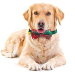 KUDES 2 Pack/Set Christmas Snowflake Dog Collars Breakaway with Bow Tie and Bells for Cat and Small/Medium/Large Pets, Red & Green