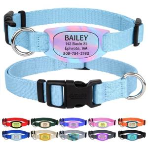 GoTags Personalized Dog Collar with Silicone Tag, Adjustable Nylon Pet ID Collar with Custom Engraved Quiet Nameplate, Silent Colorful Dog Tag for Large Medium and Small