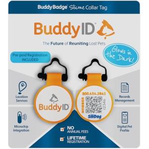 BuddyID BuddyBadge Silicone Pet Collar Tag with QR Code, Waterproof and Jingle-Free, Glow-in-The-Dark, Includes Lifetime Registration and Customizable Digital Profile, 1 Tag