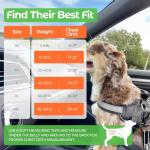 Joyride Harness Basic Essential Dog Harness 1.0 - Small, Medium, Large Dogs, No-Pull Pet Vest with 3 Side Rings for Leash Placement, Adjustable for Training (Red Rush, XS)