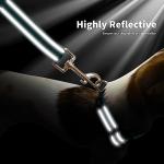 NESTROAD Reflective Dog Collar and Leash Set,Soft Neoprene Pet Collar with Quick Release Buckle,Adjustable Nylon Dog Collars for Small Medium Large Dogs(Small Collar + 5FT Leash,Teal)