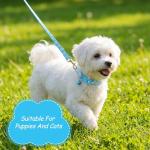 3 Pcs Dog Collar and Leash Set, Adjustable Puppy Collar and Leash, Puppy Collars with Paw Print, Dog Collars and Leashs for Small Dogs, Quick Release Buckle Adjustable Rope for Pets (Pink Black Blue)