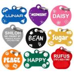 Personalized Pet ID Tag for Dogs and Cats