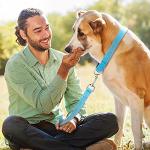 Weewooday 8 Pieces Dog Collar and Leash Set Nylon Adjustable Dog Collars and Leash Personalized Puppy Supplies for Small Medium Large Pet Walking Training, 4 Colors