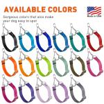 Dogline Biothane Martingale Dog Collar – Adjustable Waterproof Collar for Dogs with Herm Sprenger Assembly Chain – Fits Small, Medium & Large Dogs, L 11-15in x W 3/4in, Sage Green